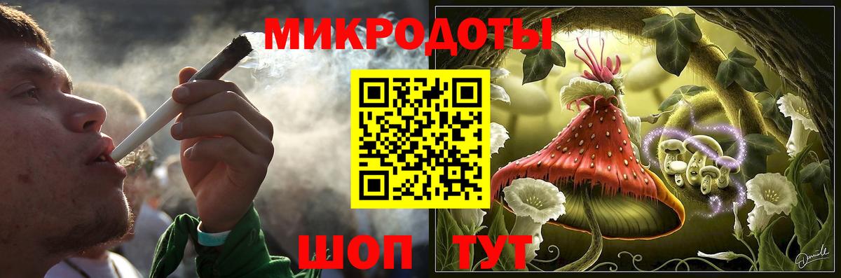 Галлюциногенные грибы Psilocybine cubensis Грозный